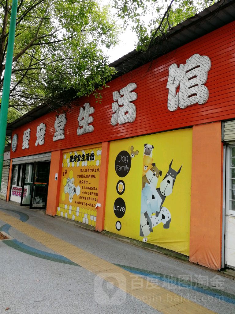 爱宠堂生活管(滨河东路店)