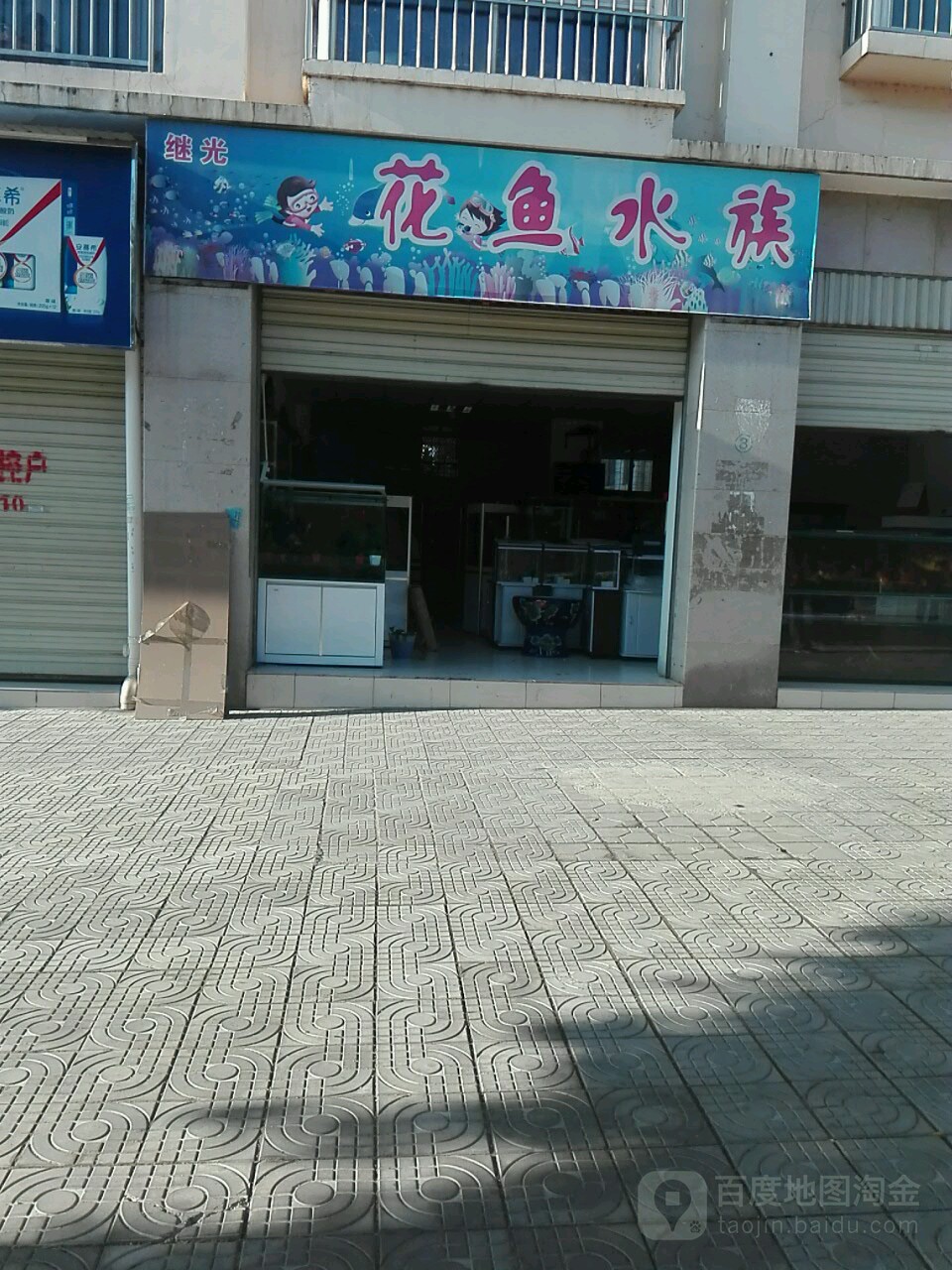 继光花鱼水族