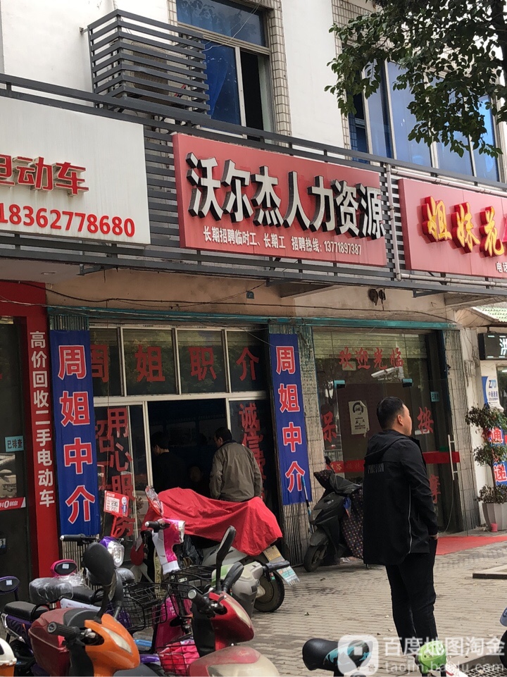 周姐免费中介