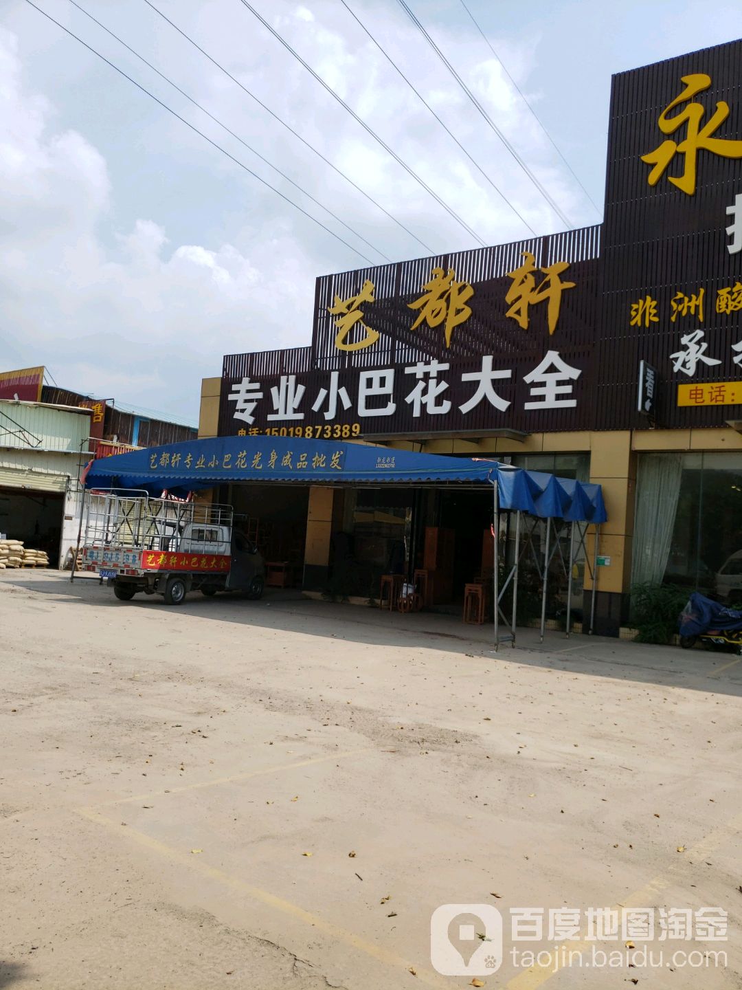 艺都轩小巴花大全