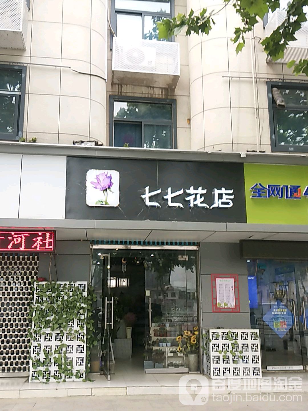 七七花点(阜阳店)