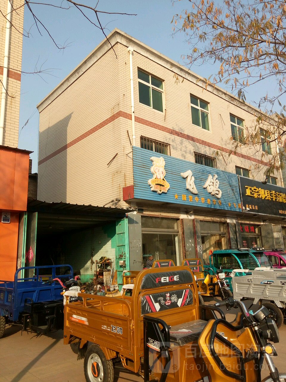 飞鸽电动三轮车(清苑总代理)