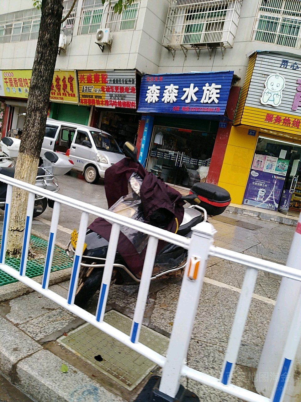 sen森水族(长征大道店)