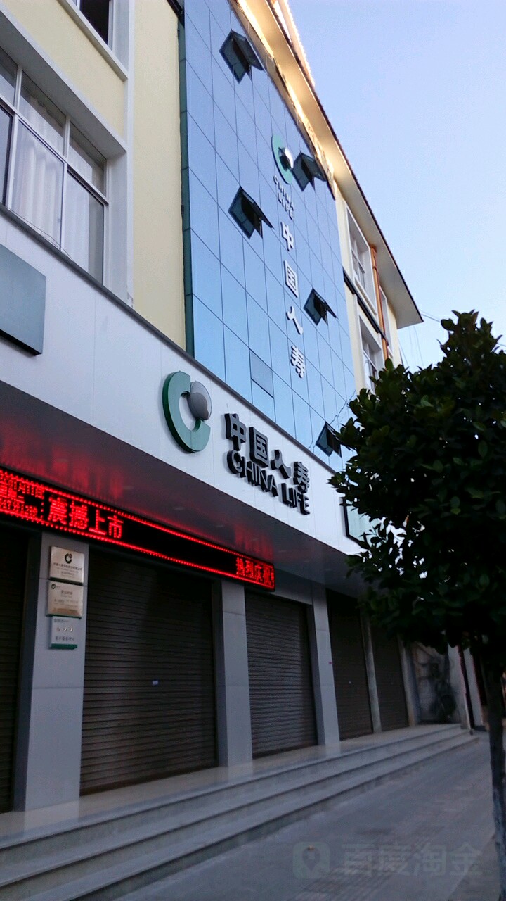 中国人寿保险(蜜回路店)