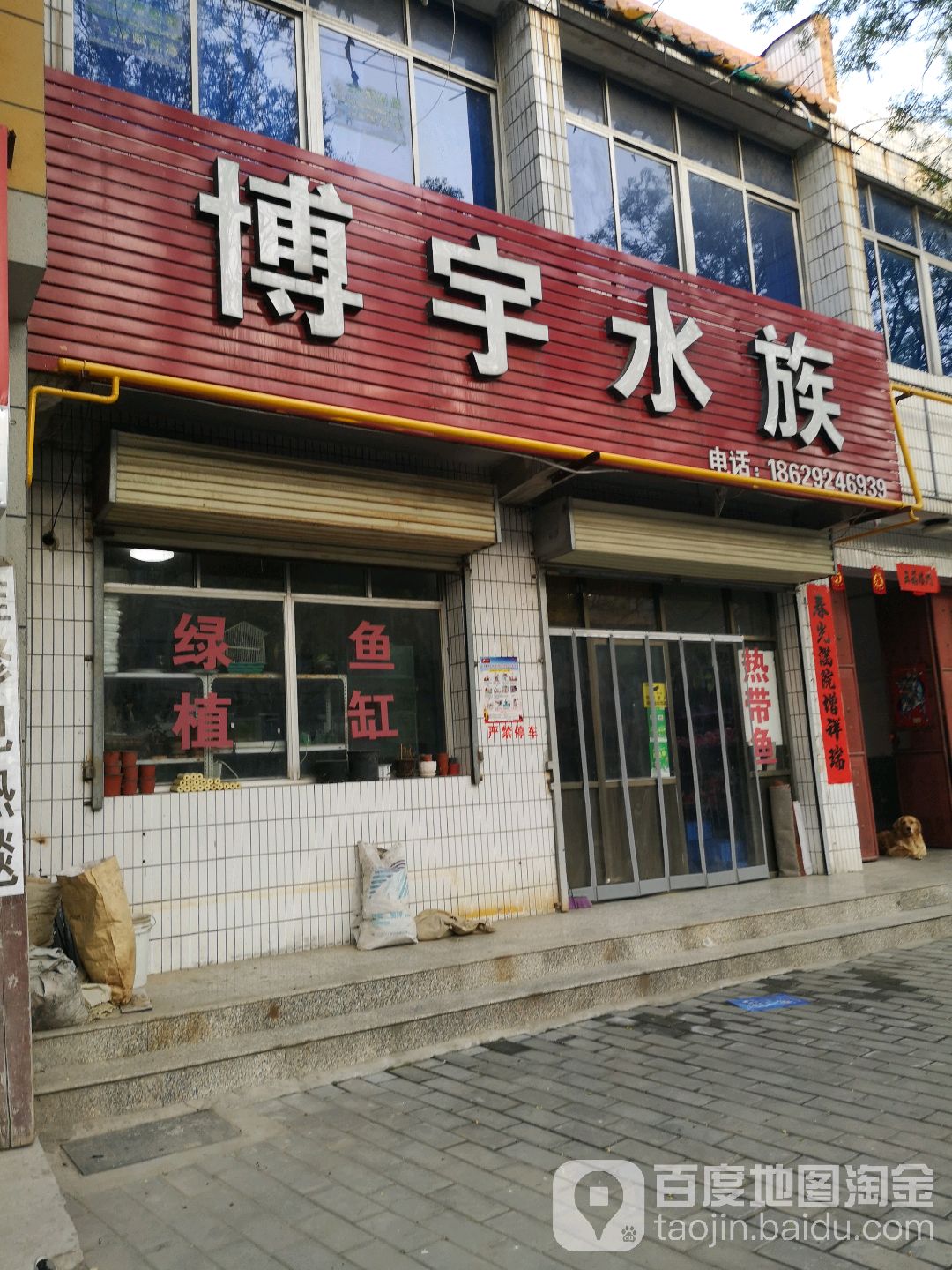 博宇水族(北街店)