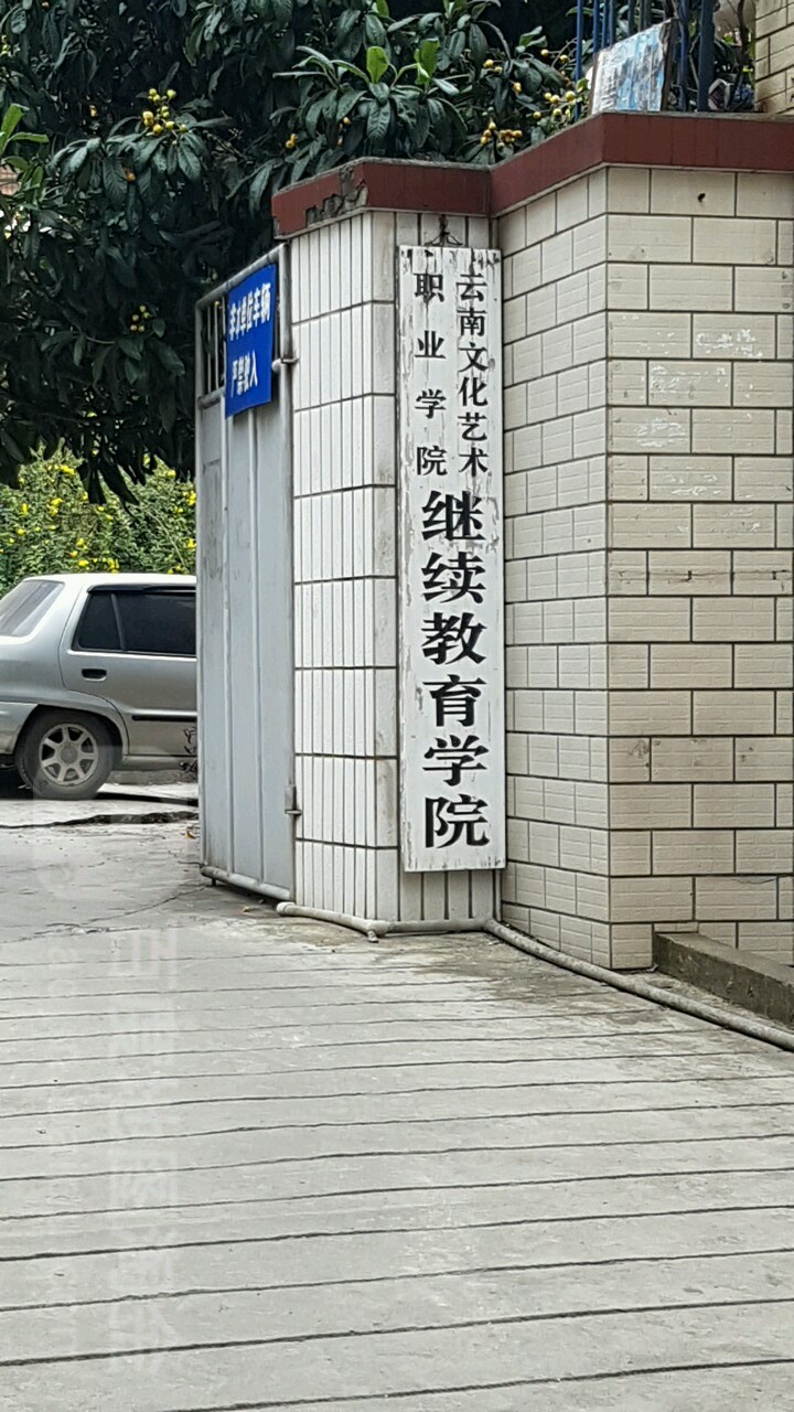 云南文化艺术职业学院继续教育学院