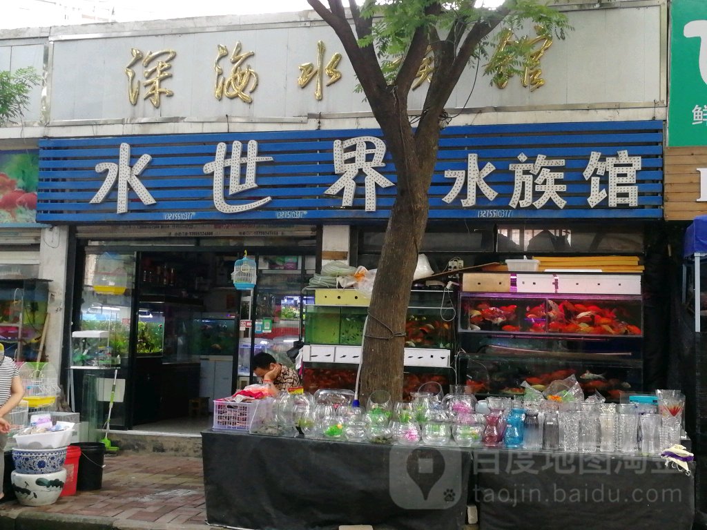 水世界水族馆(双岗义井路民俗花卉街店)