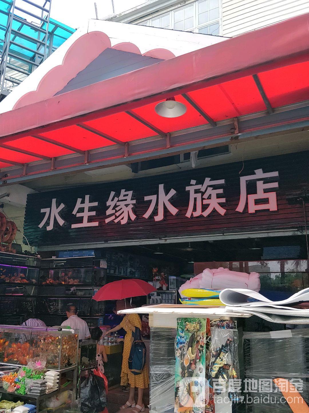 水生缘水族店