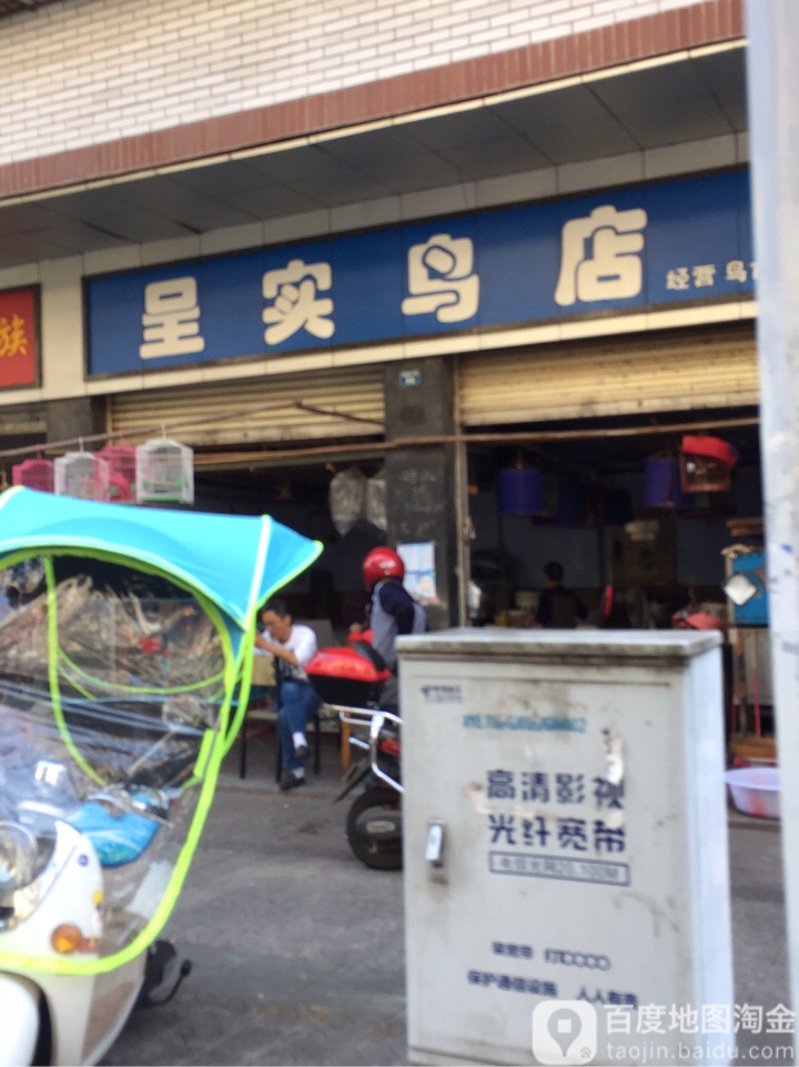 呈实鸟店