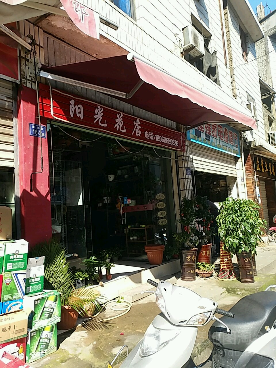 阳光花店(南大街店)