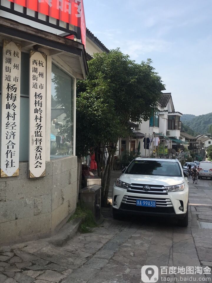 杨梅岭村地名网_浙江省杭州市西湖区西湖街道杨梅岭村资料简介