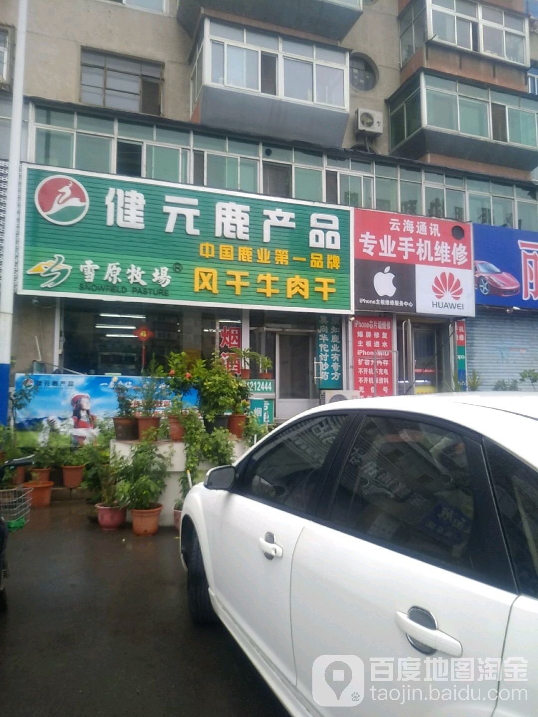 健元鹿产品