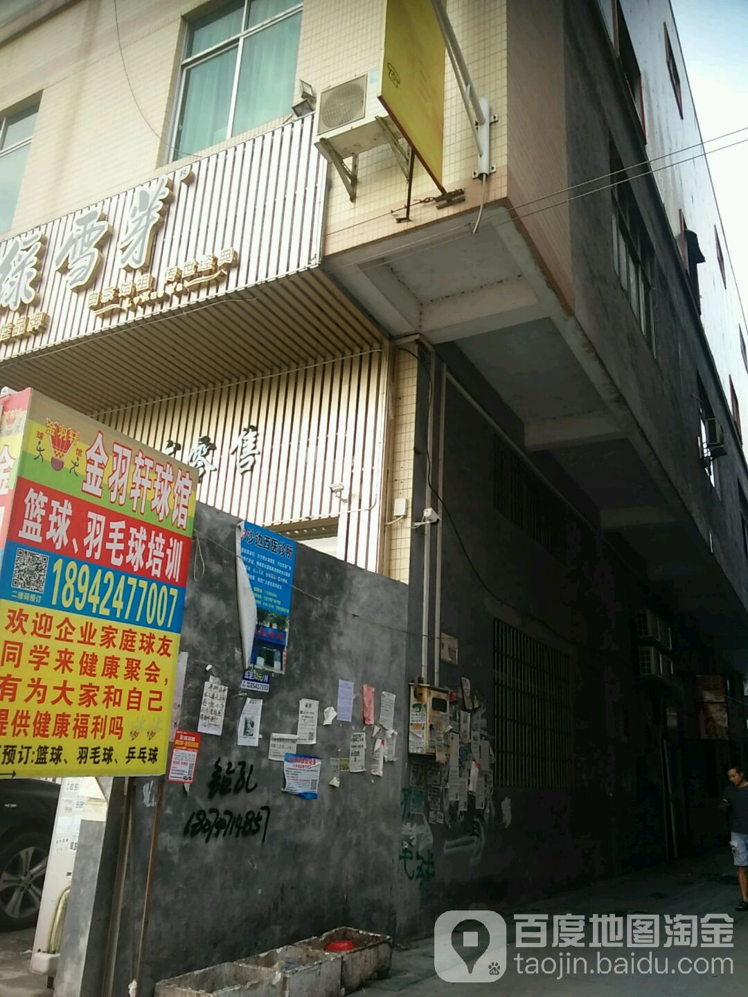 金羽轩篮球