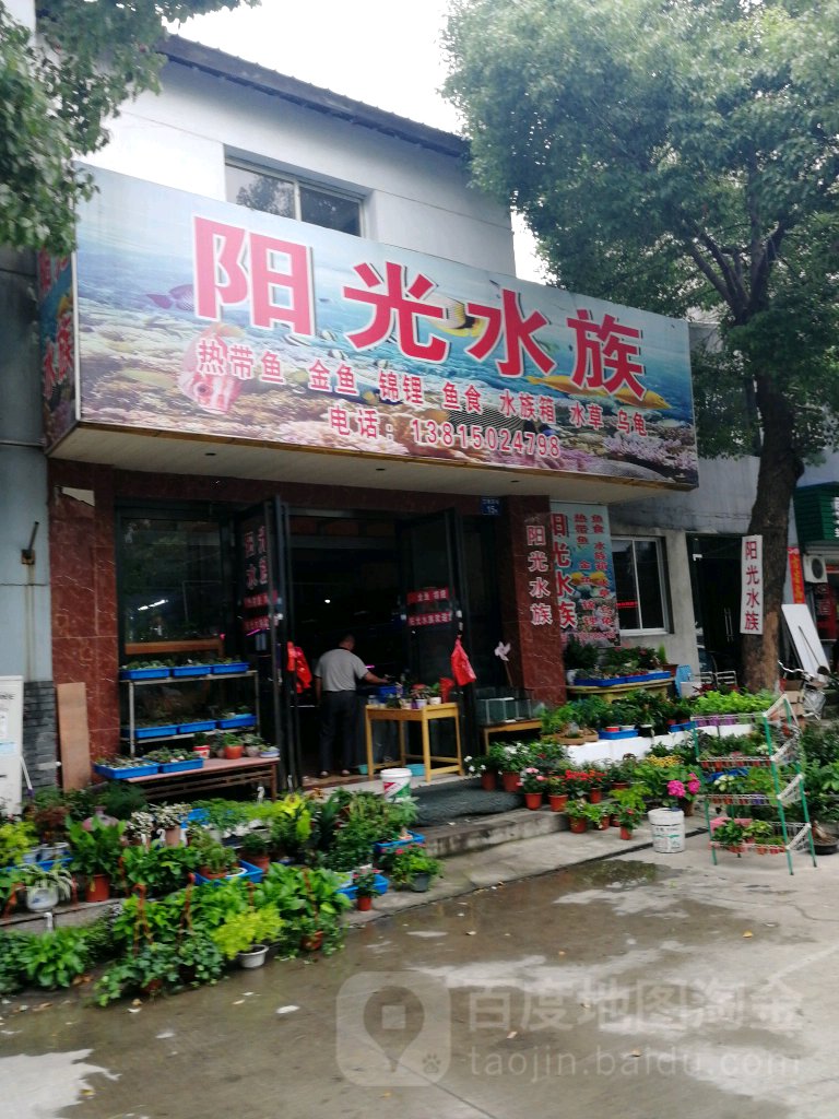 阳光水景(兰陵北路店)
