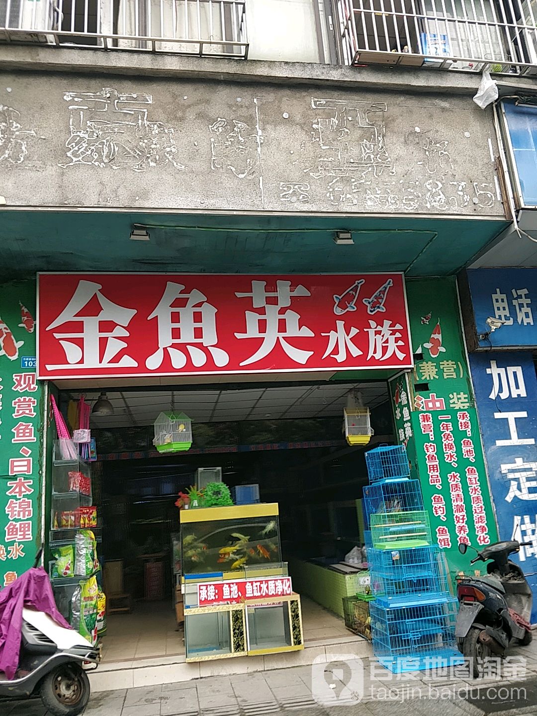 金鱼英水族(竹桥新村B座店)