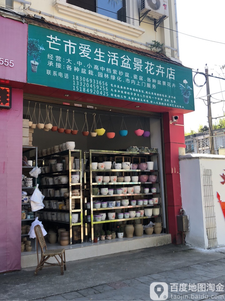 芒市爱生活盆景花卉店