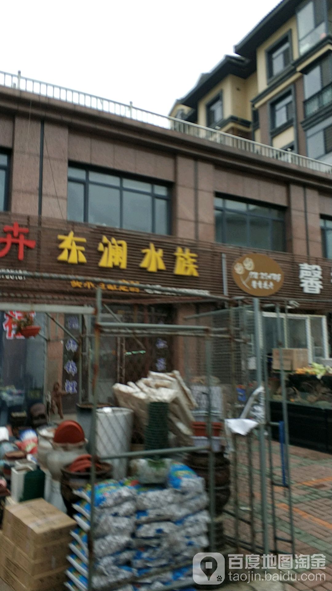 东澜水族