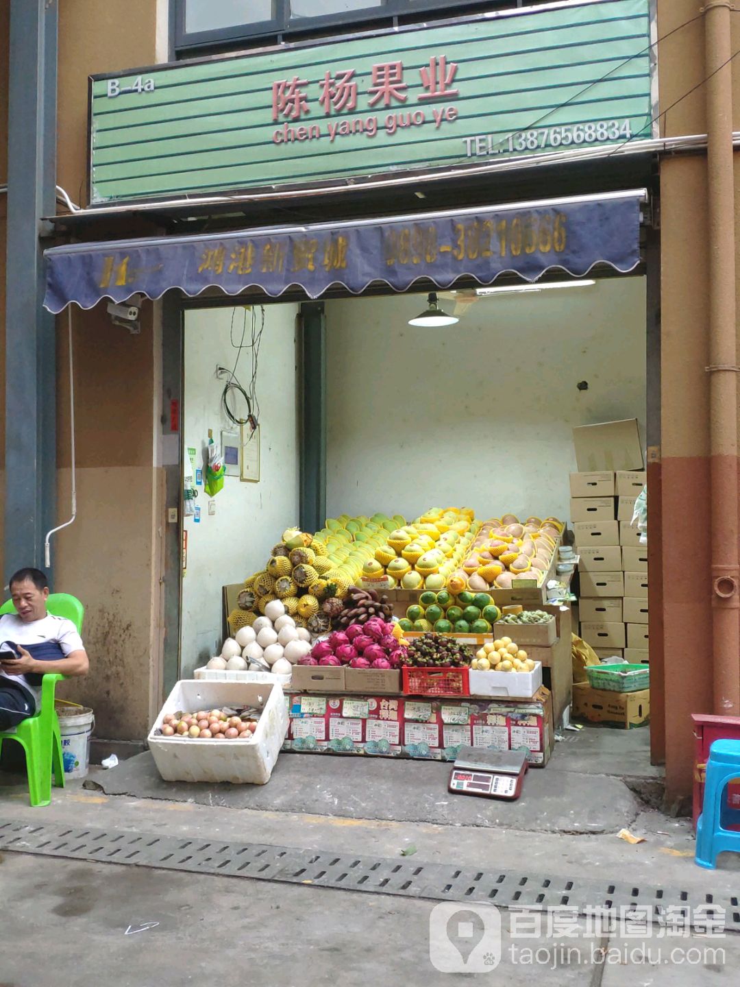 陈杨果业(三亚鸿港新Mall城店)