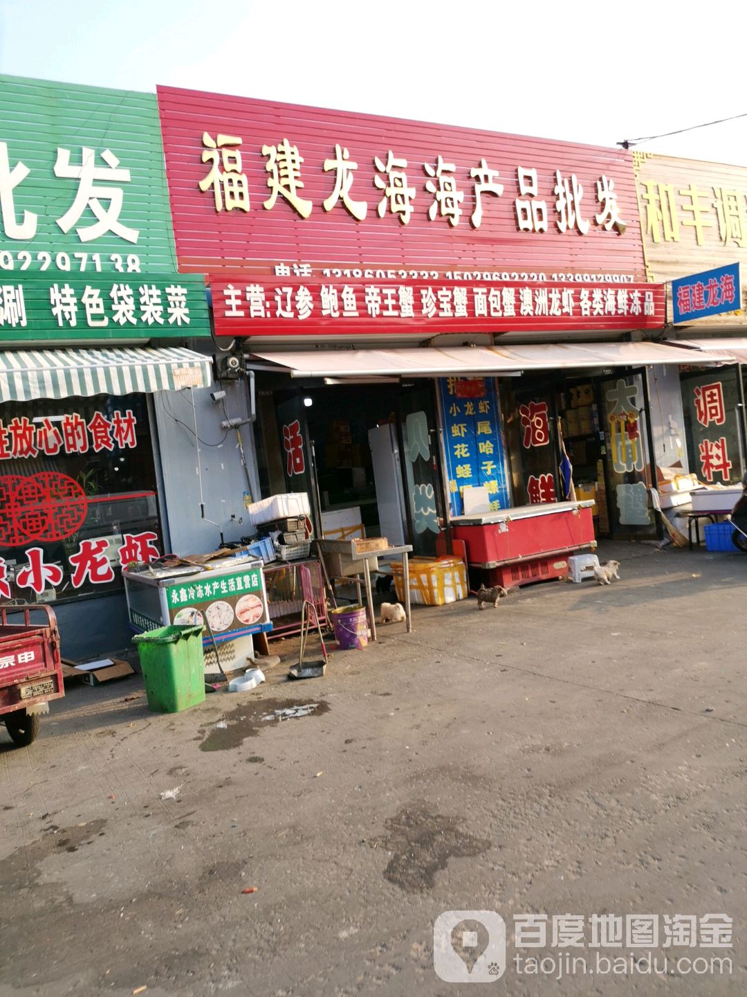 福建龙海海参品批发