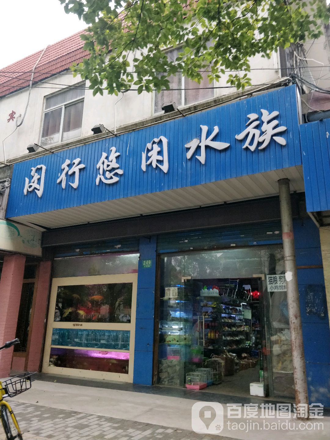 上海闵行悠闲水族
