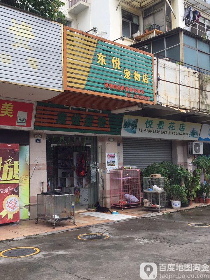 东悦宠物店