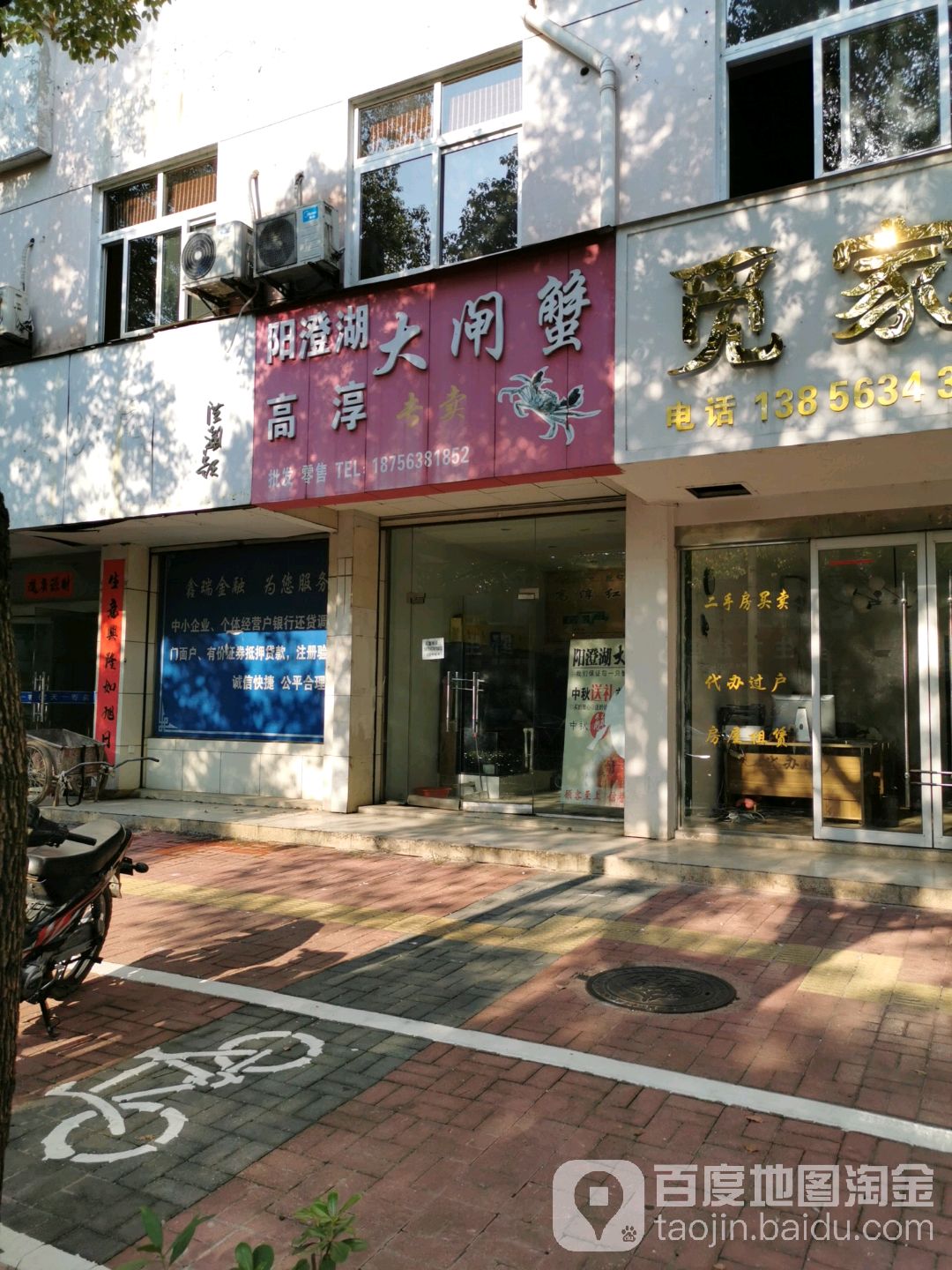 阳澄湖高淳大闸蟹
