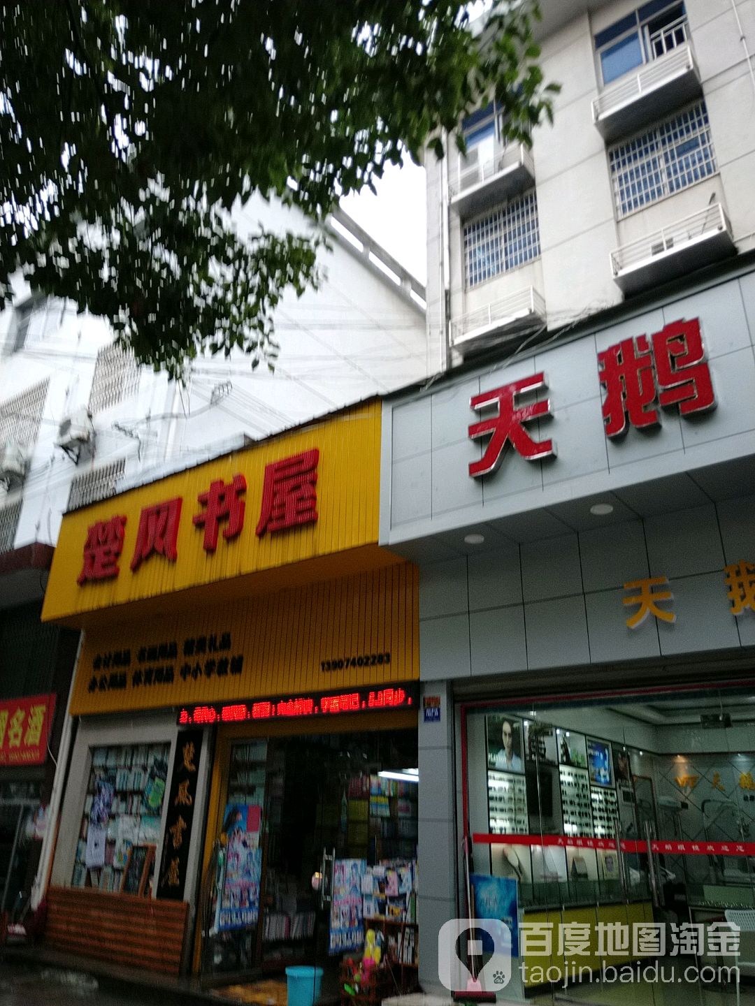 楚风书屋