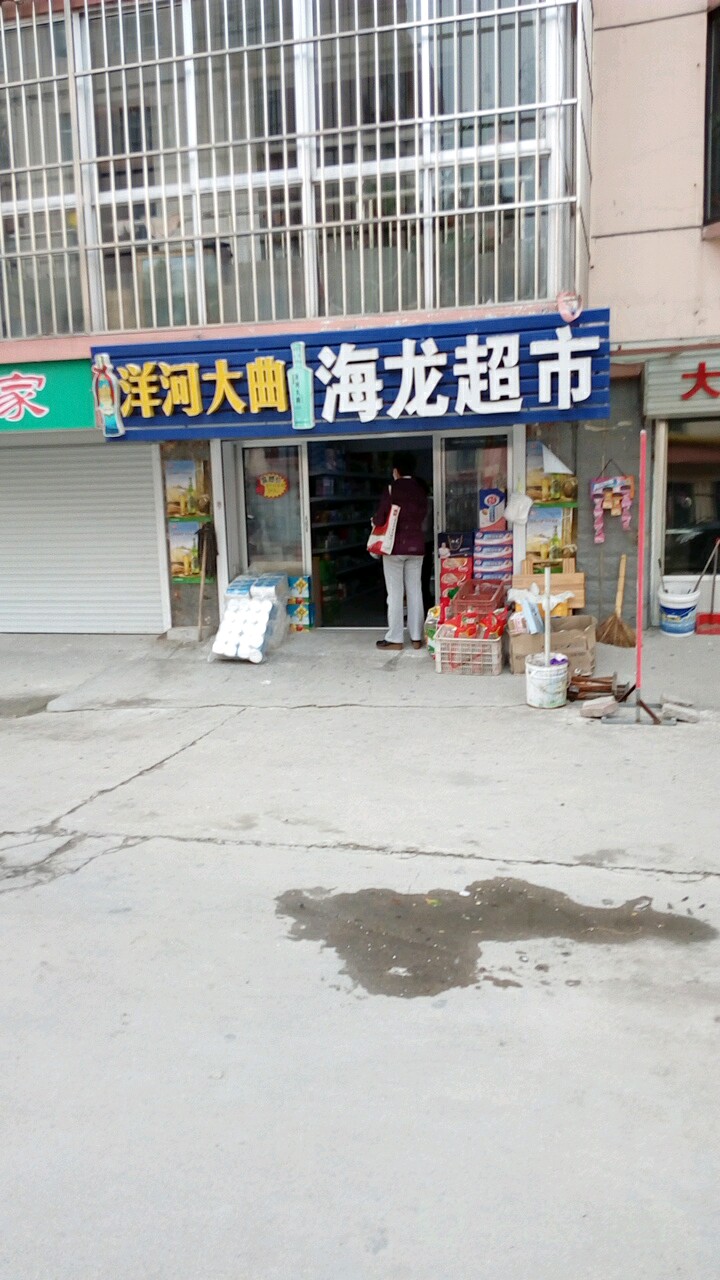 海龙超市(园西路店)