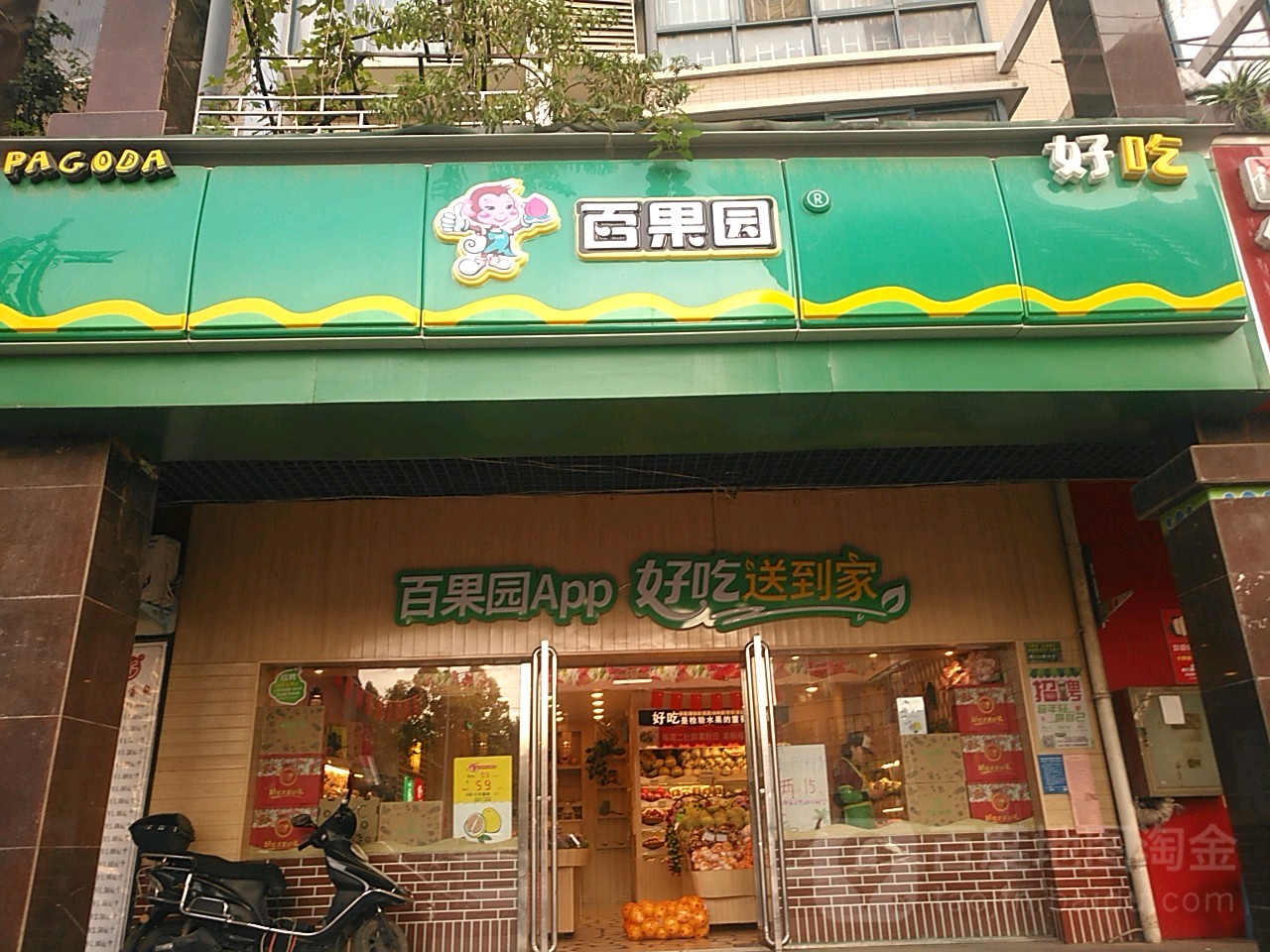 百果园(大河春天店)