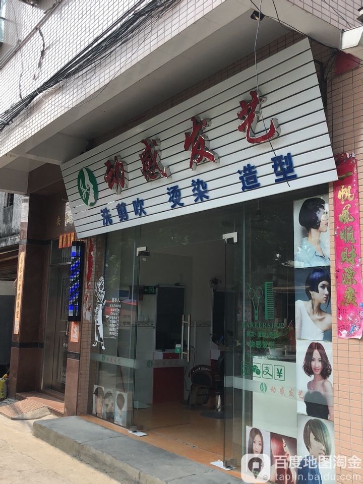 动感发艺(大岑店)