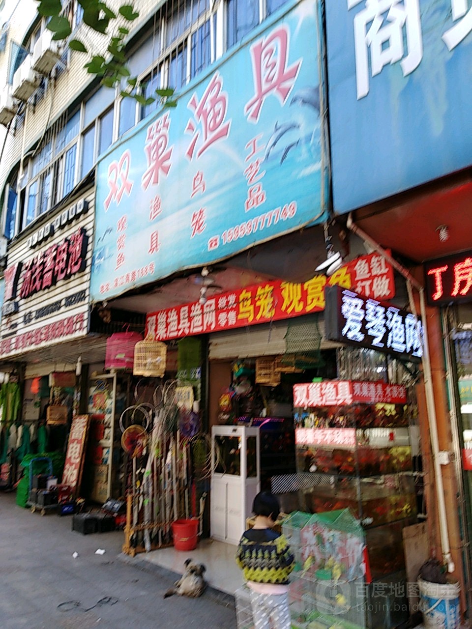 爱琴渔网双巢渔具水族店馆