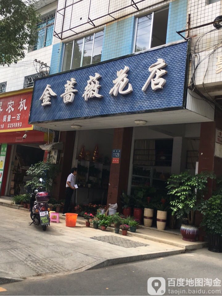 金蔷薇花店