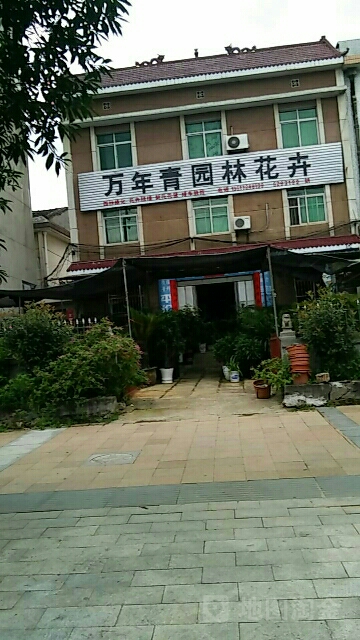 万年青园林花卉(秀谷中大道店)