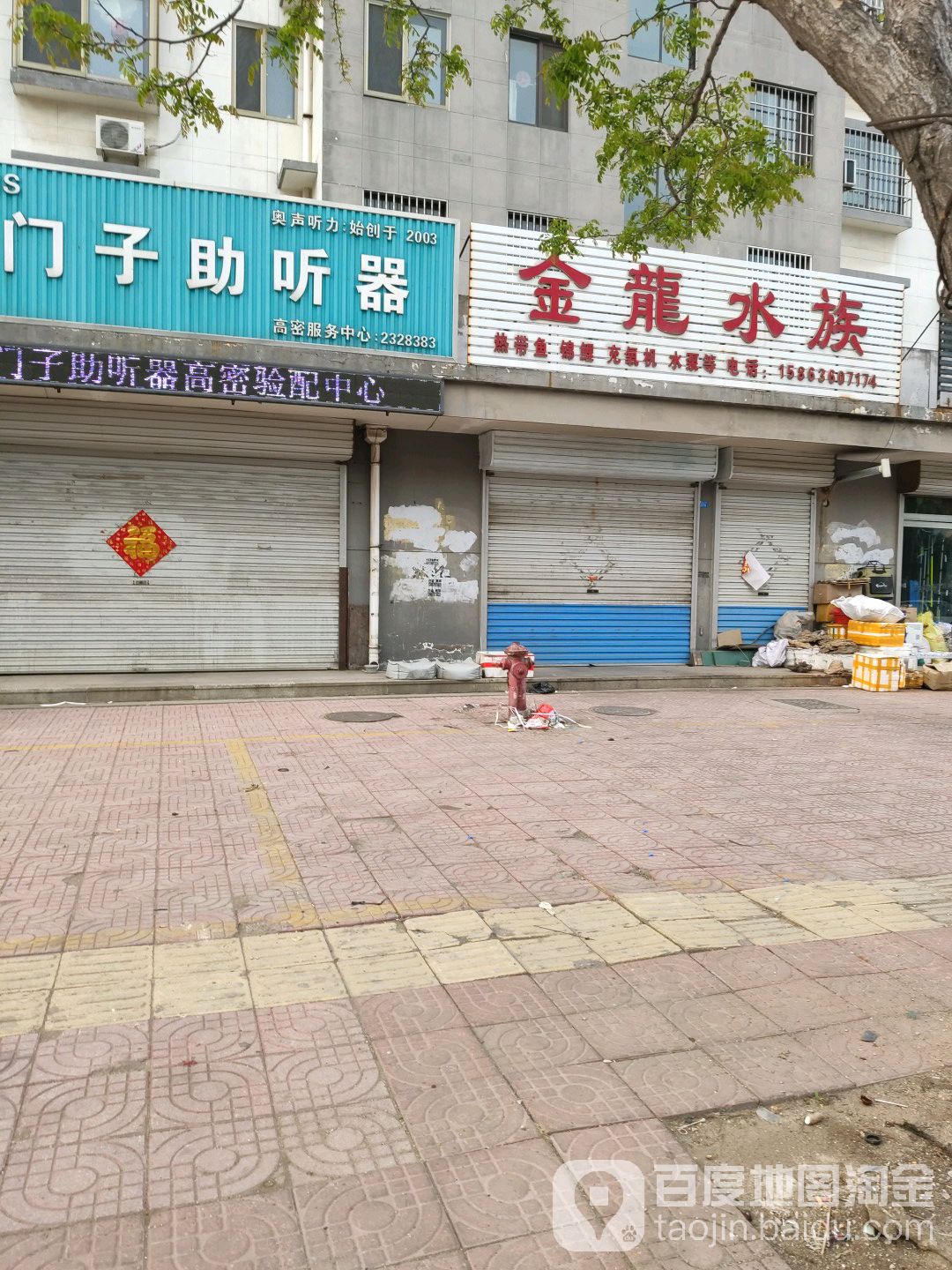 金泷水族(健康路店)
