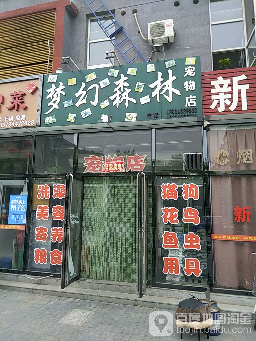 梦幻森林宠物店