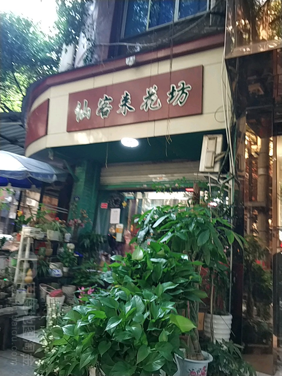 仙客来花坊(泊水街店)