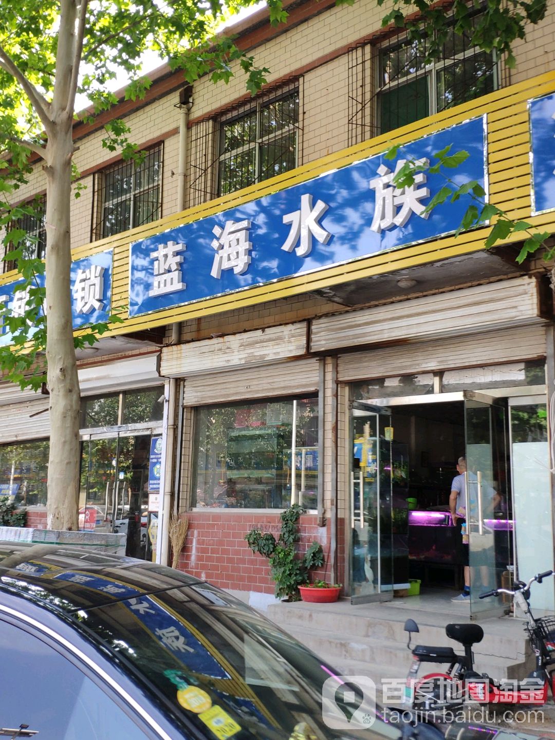 蓝海水族