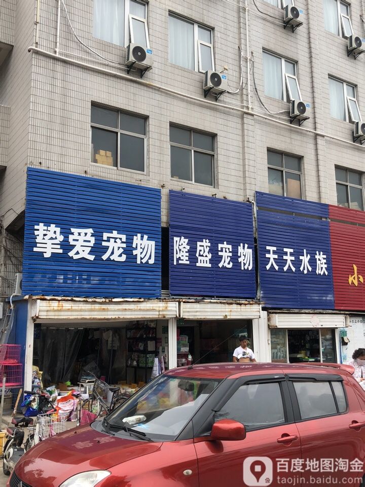 天仙水族