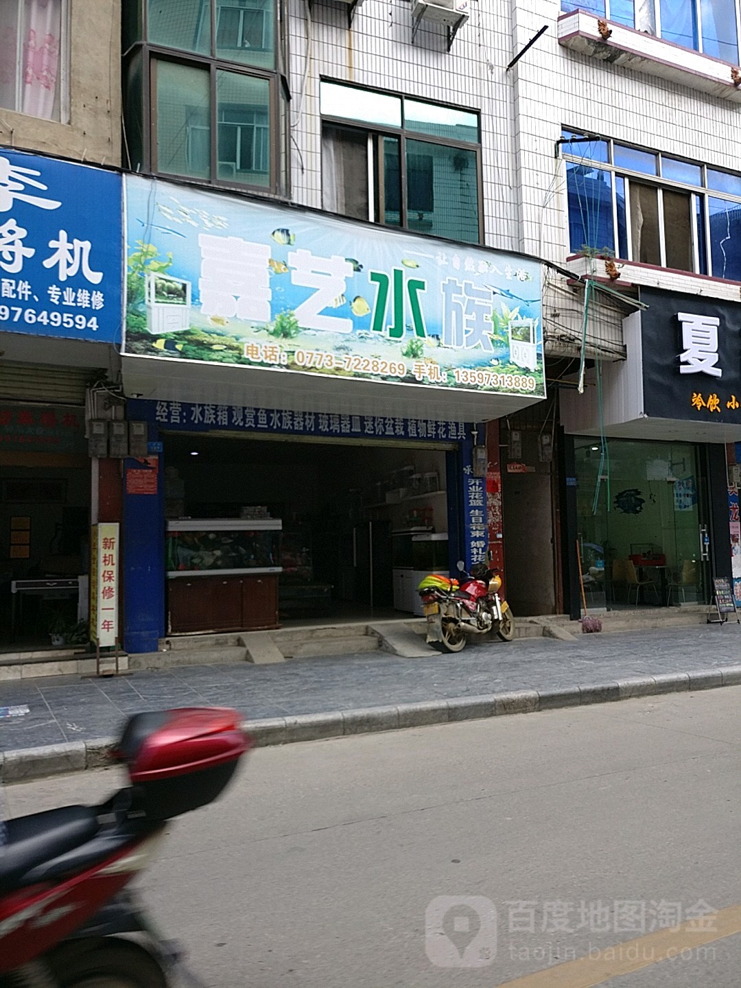 嘉鱼水族