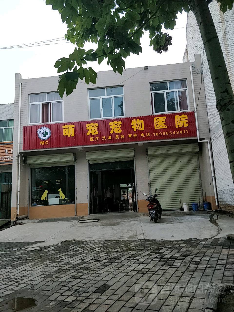 萌宠宠物诊疗