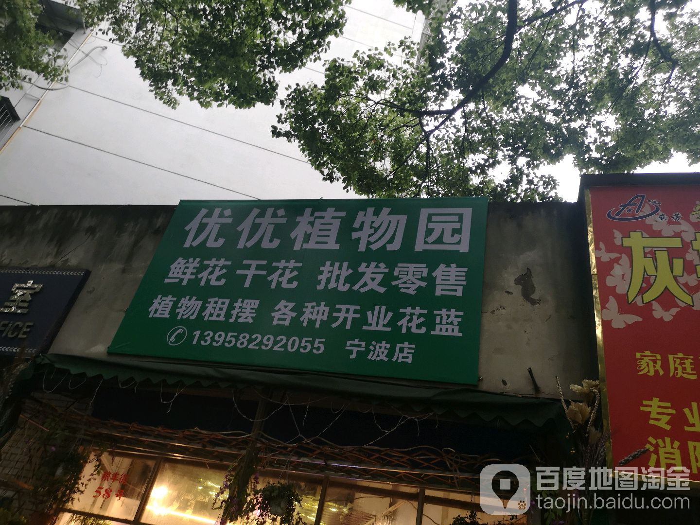 呦呦植物园(宁波店)