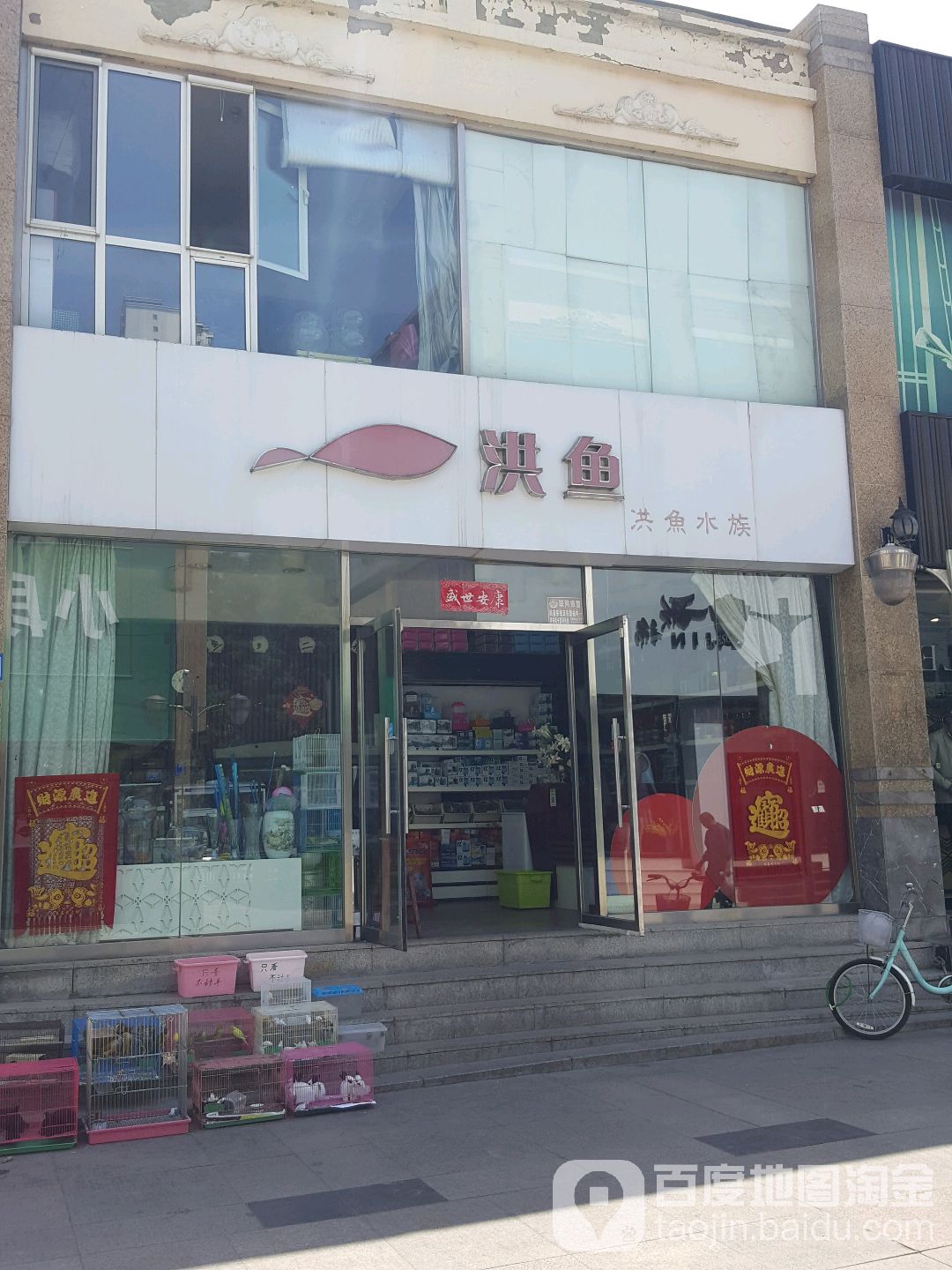 洪鱼水族
