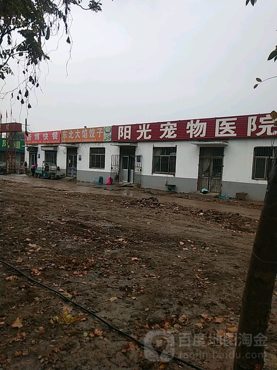 阳光宠物医院(张南路店)