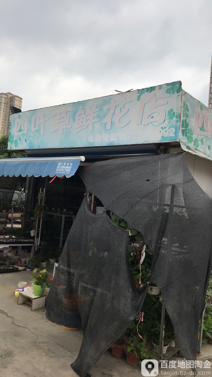 四叶草鲜花店(金凯路店)