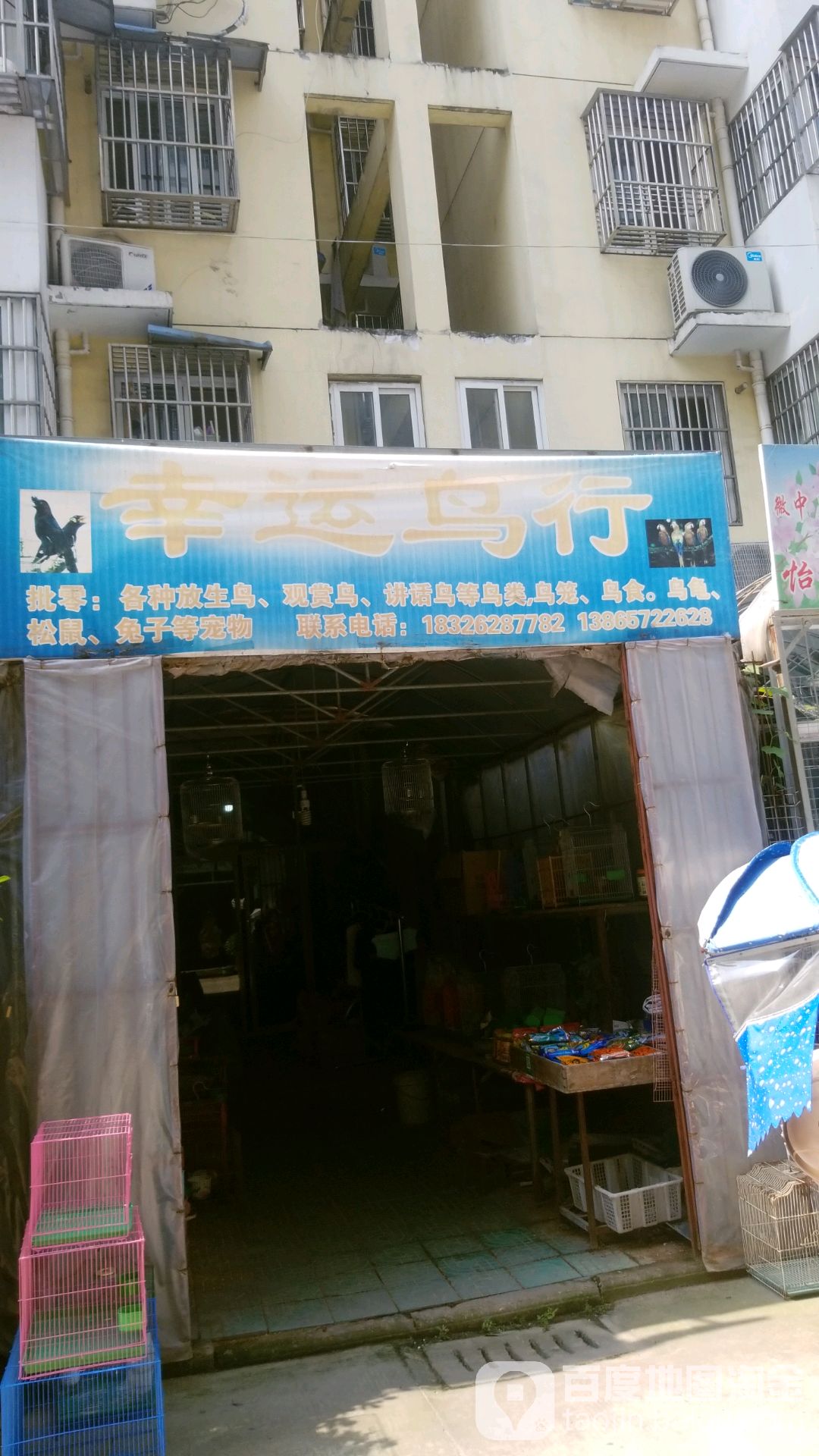 幸运鸟店
