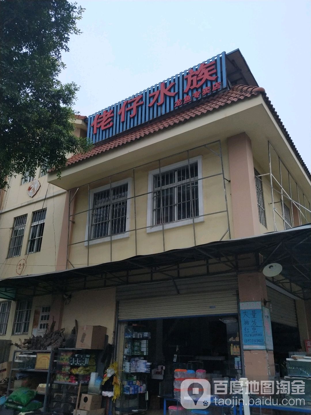 佬仔水族