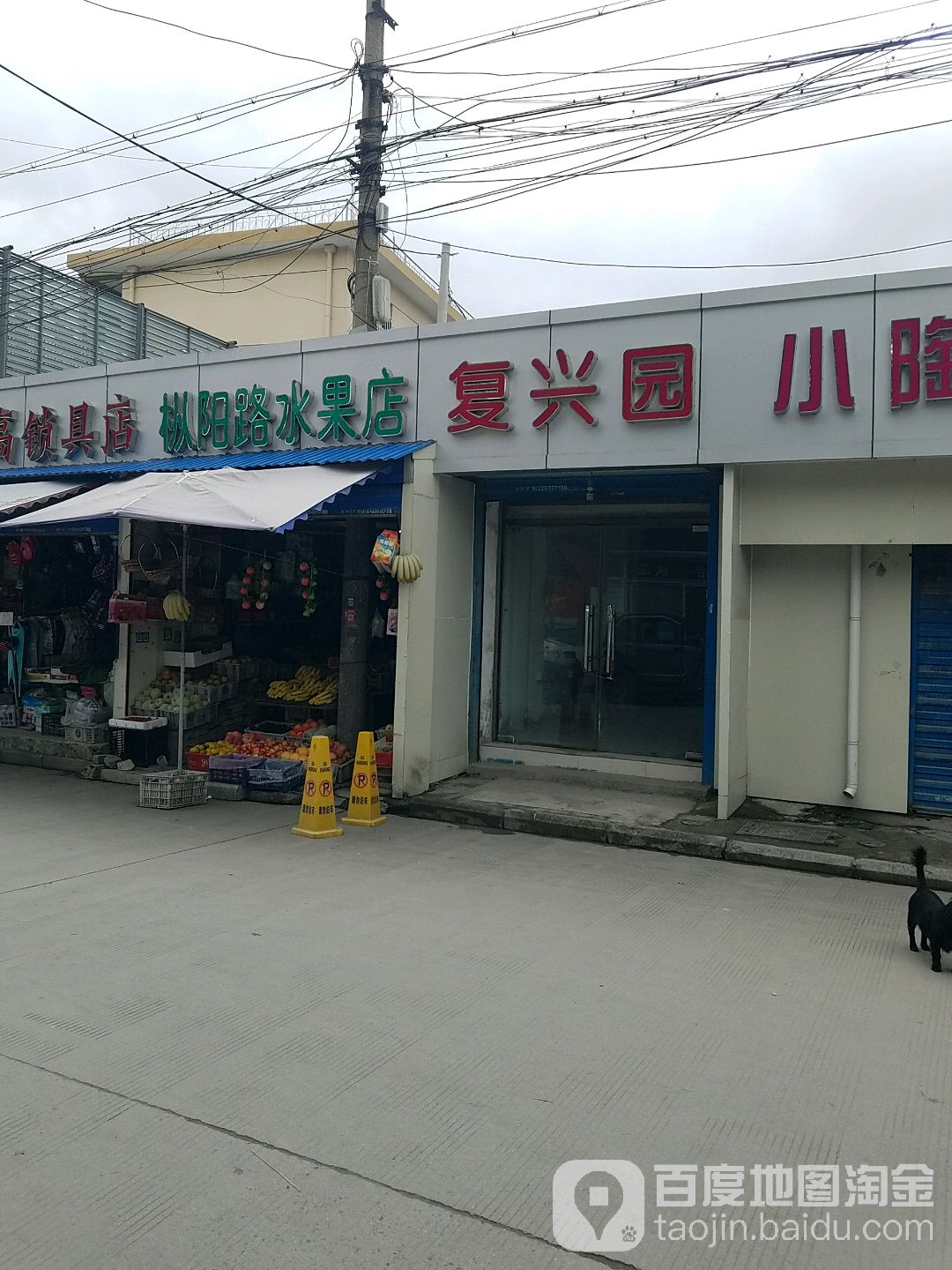 枞阳路水果店