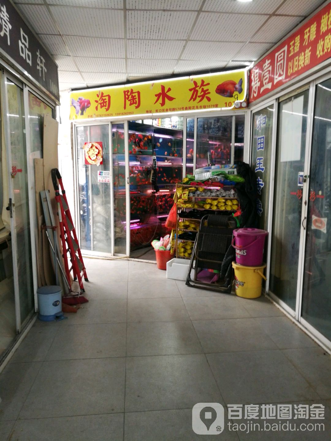淘陶水族