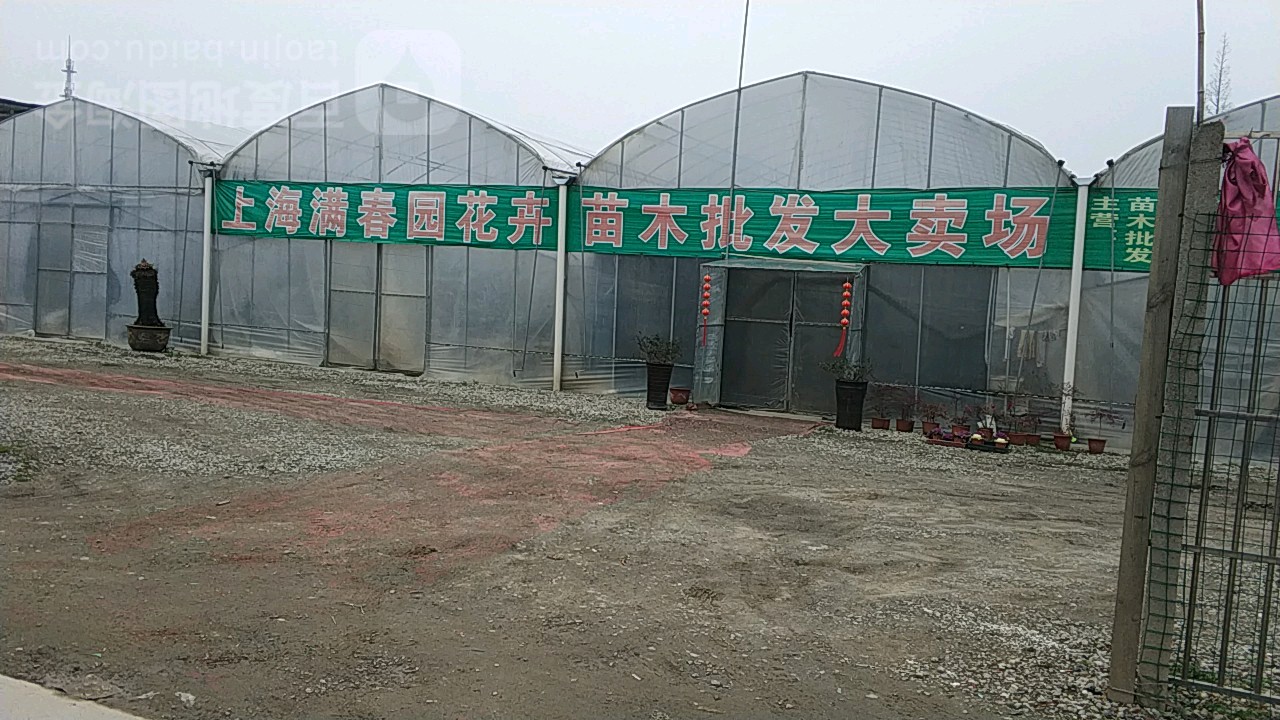 上海满春园花卉苗木批发大卖场