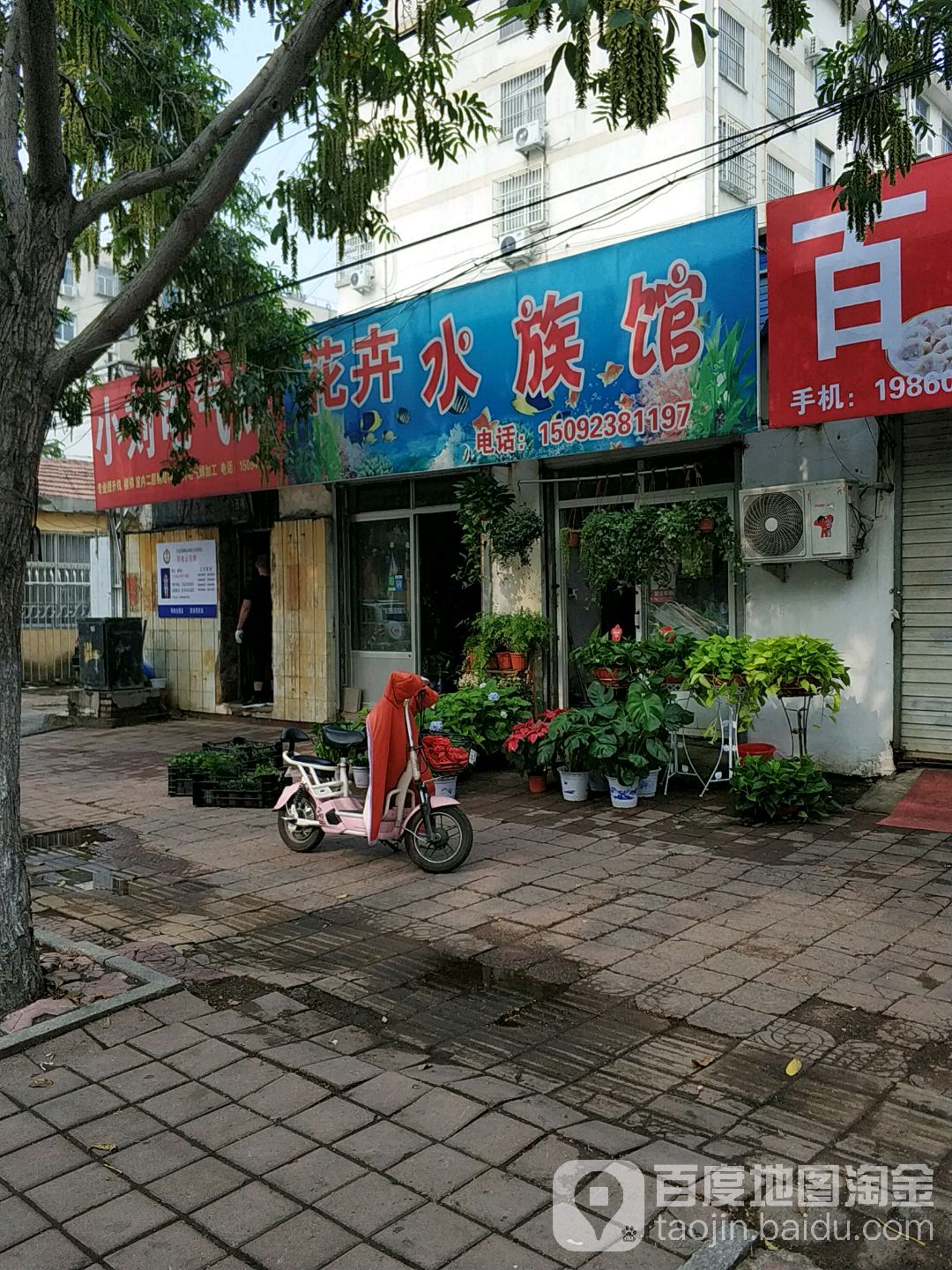 花卉水足馆